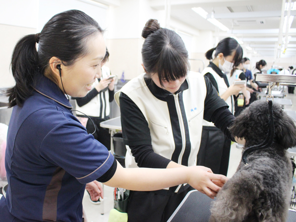 モデル犬とトリミング実習！